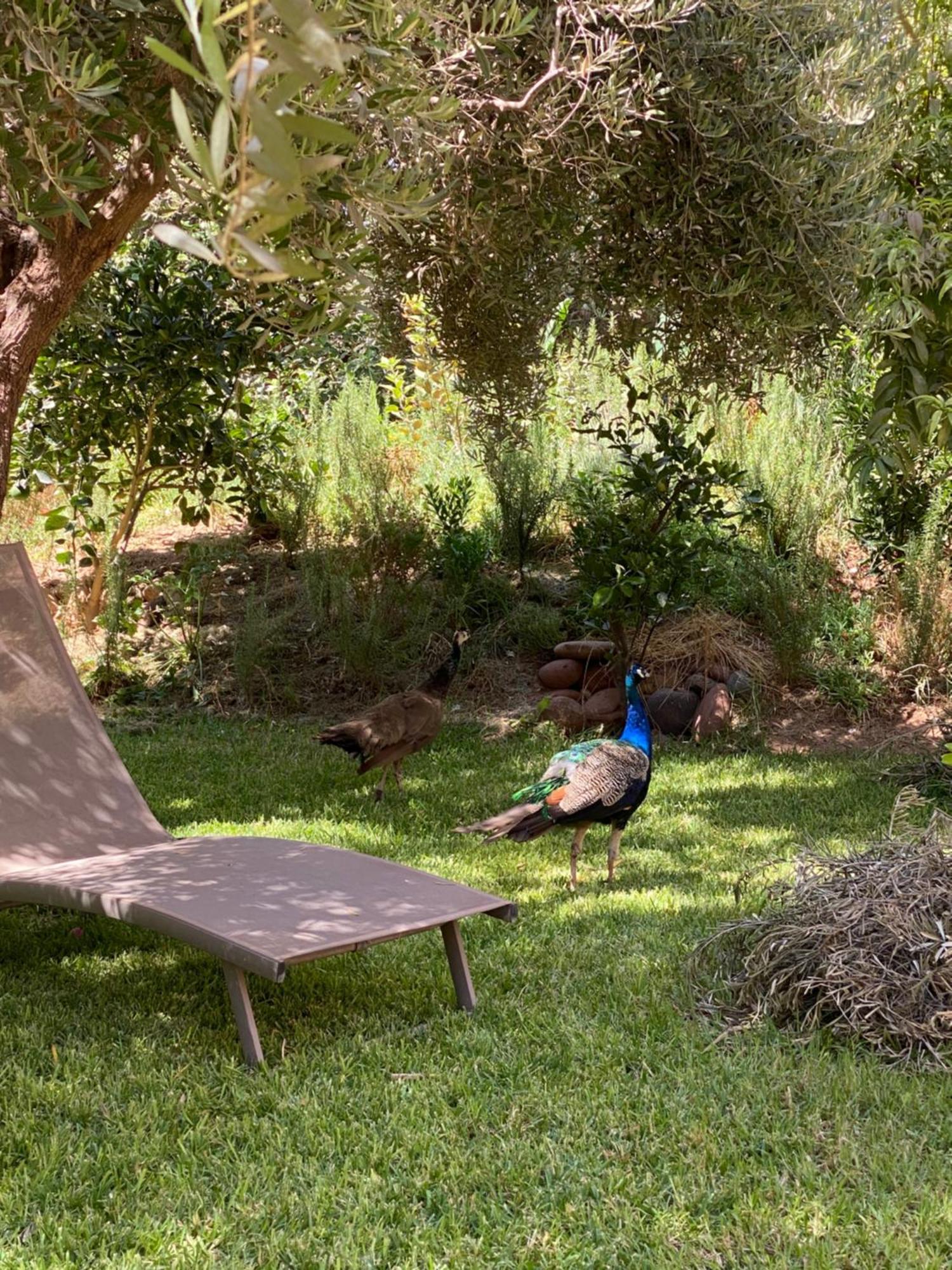 Jardin Sakina - Chambre D'Hotes Oulad Moumene Экстерьер фото